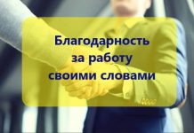 Слова благодарности за работу своими словами: 84 фразы