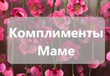Комплименты Маме: Красивые от дочери, на День мамы, на День рождения